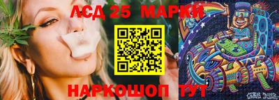 СК Гатчина