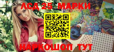 СК Гатчина