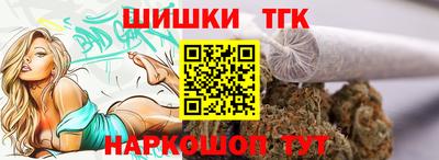 СК Гатчина