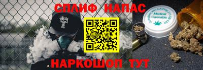 СК Гатчина