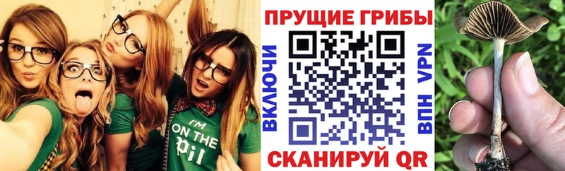 купить закладку  Набережные Челны  Псилоцибиновые грибы MAGIC MUSHROOMS 