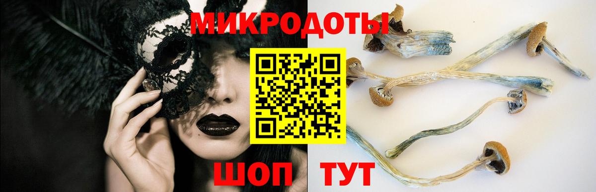 Галлюциногенные грибы прущие грибы  Вход с VPN  Набережные Челны  Галлюциногенные грибы Psilocybe 